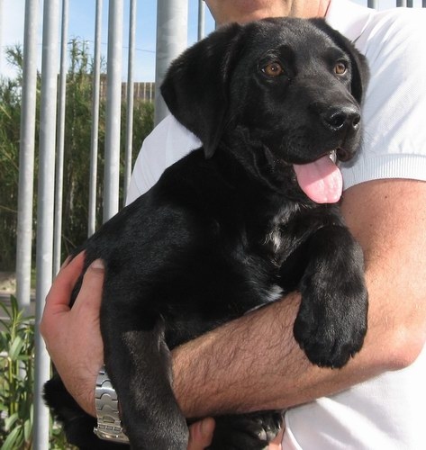 trocatocassiaimg_6410