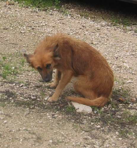 tulagiuliano