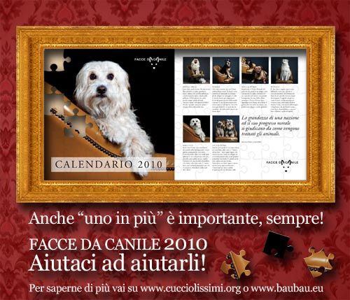 Facce-da-Canile-2010-500x
