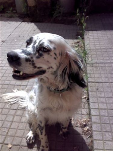 Milla_1