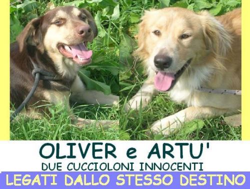 OLIVER_E_ARTU_APPELLO