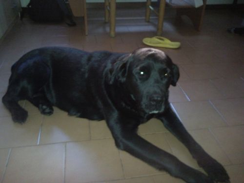 evita1