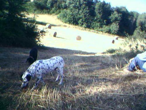 mascherina_e_nerone