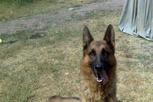 max2_copy