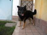 DSCN0211