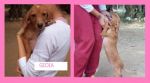 GIOIA00