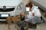 Gigia2