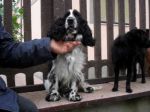 Lola3
