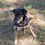 Lulina_013