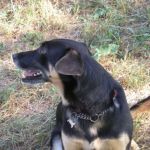 Lulina_014