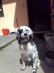 Milla_2