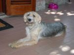 Shila3