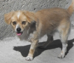 arturo2