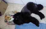 bella24ago1
