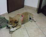 bella24ago3