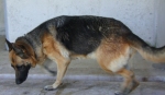 cimg1147