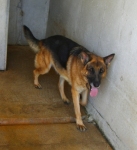 cimg1378_copy