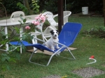 flipadottato_copy