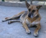 lara574web