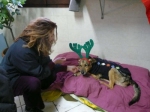 larennadinalate3
