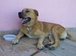 lorenzo1