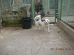 nanetto071108