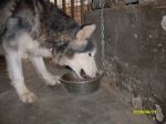 ottobre_09_136