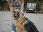 rex1