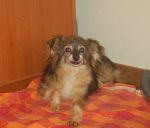 sweety2