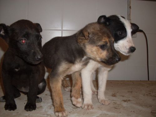 3fratelli5