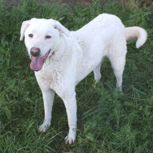 915-05_Blanche