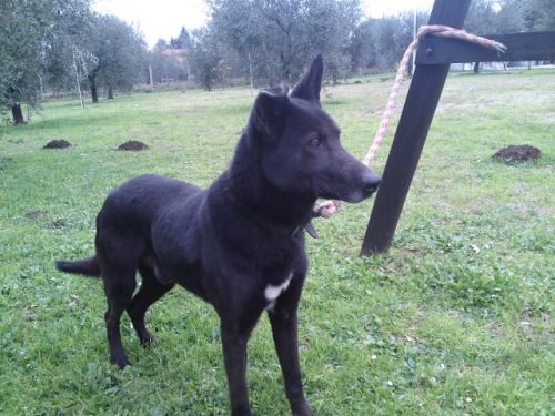 Asti