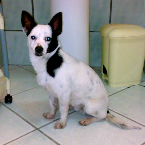 BENNY_1101201016811