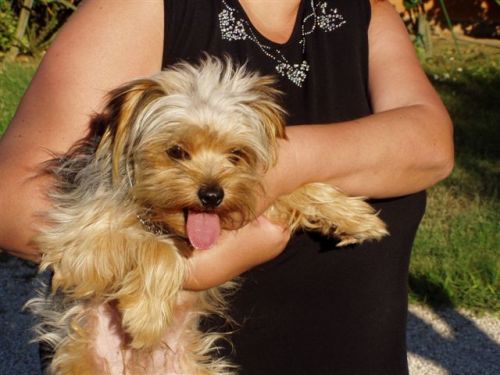 Chupy2