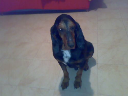 FILIPPO_2