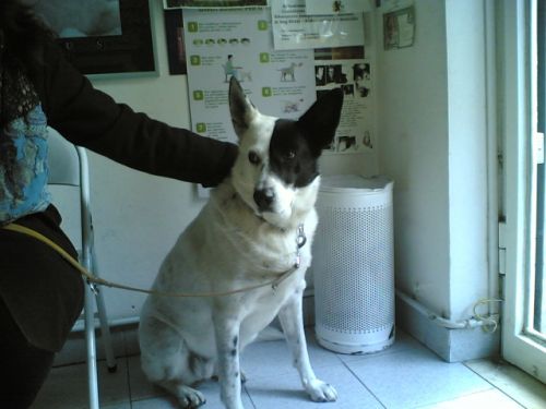 Lola1