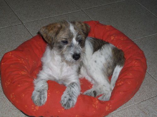 Martina