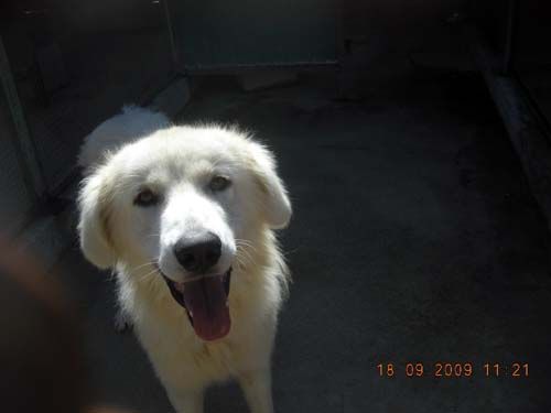 barney180909
