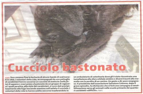 clip_cucciolo_bastonato