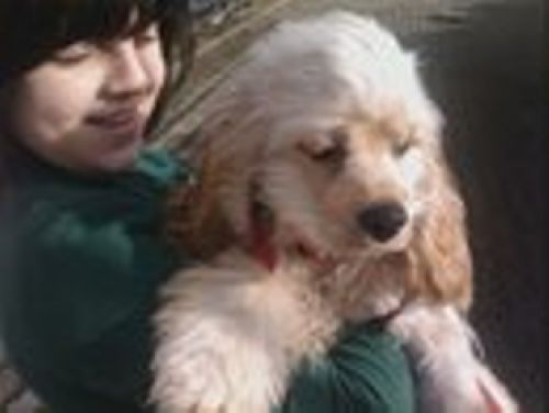 key