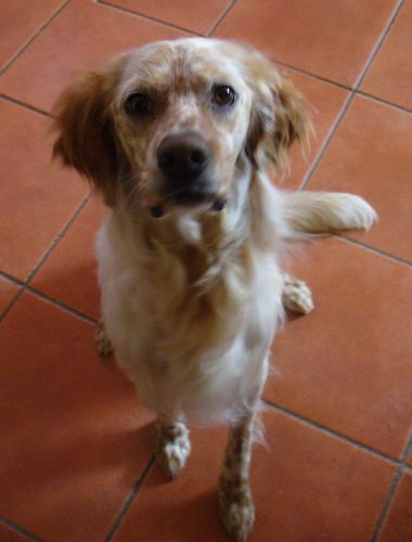 setter_perso