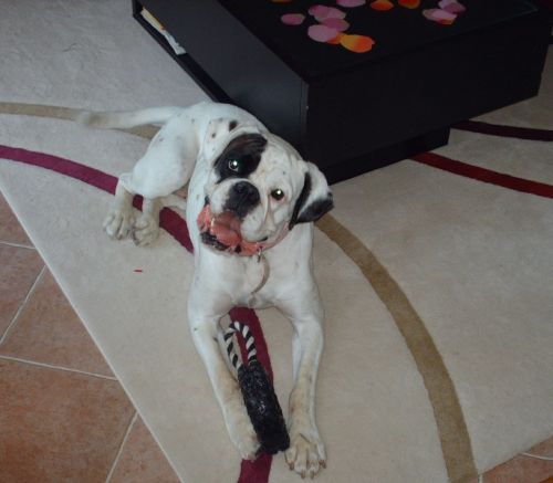 PEGGY---