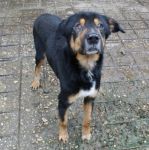 1062-09_ex_poverello_1