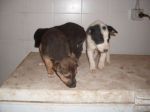 3fratelli2