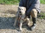 BALU2