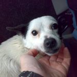 BENNY_110120101674