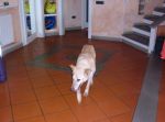 DSCF0847