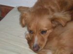 DSCN0330_R1