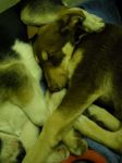 DSCN08451