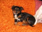 Giuly4